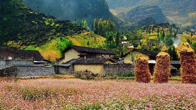 Hà Giang 2 Ngày 1 Đêm – Quản Bạ – Yên Minh – Đồng Văn
